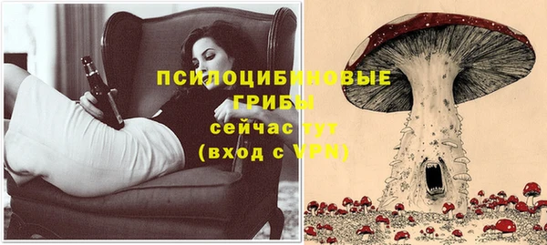 МДПВ Абаза
