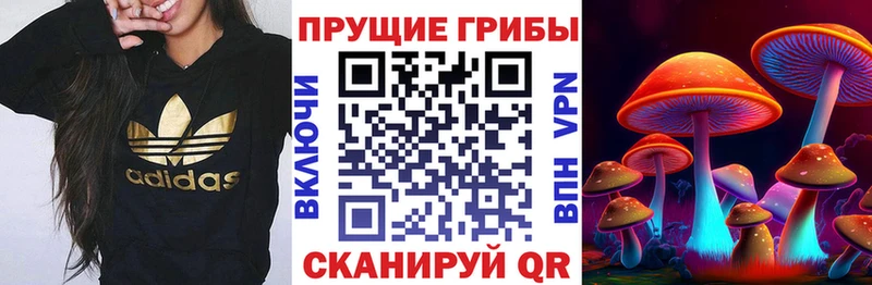 KRAKEN tor  купить наркотик  Весьегонск  Галлюциногенные грибы Psilocybe 
